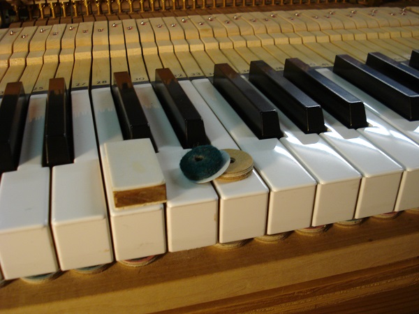30 Regulate key dip 30 Regulate key dip